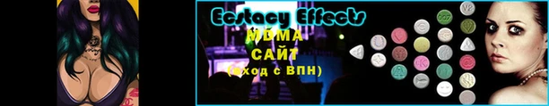стафф Заводоуковск