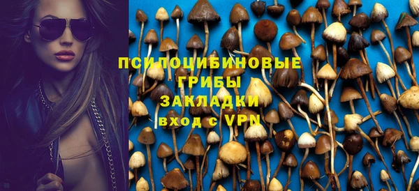 стафф Заводоуковск