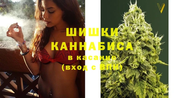 стафф Заводоуковск