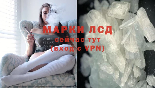 стафф Заводоуковск