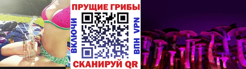 Купить закладки  Гулькевичи  Галлюциногенные грибы Cubensis 